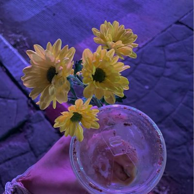 🌼