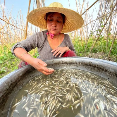 fisherwoman 