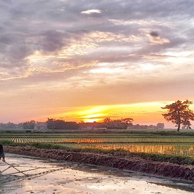 Ada yg Minat Jadi Petani?