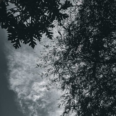 The cloudy day 🖤