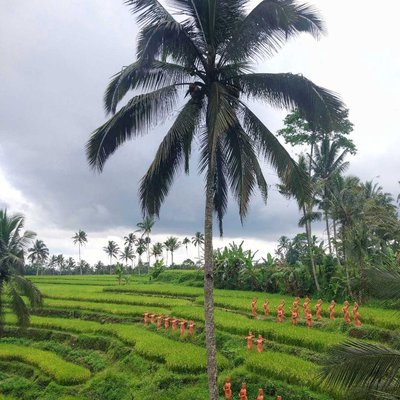 Taman Gandrung Terakota