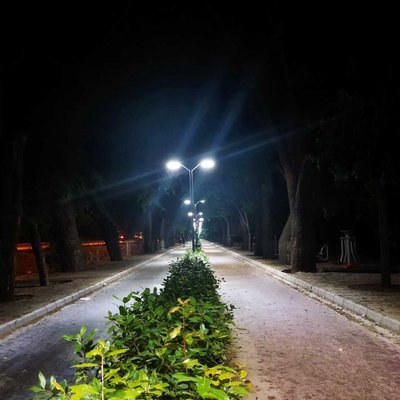 Dutlu Yol