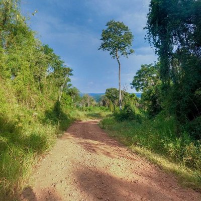 Ruta 21