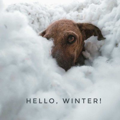 Hello Winter!
