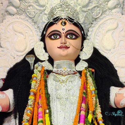 jagadhatri Puja ❤️🙏