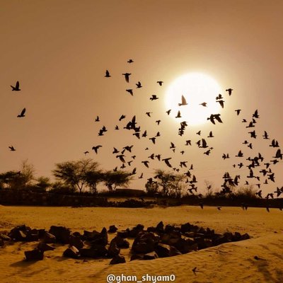 sunrise from desert 😊