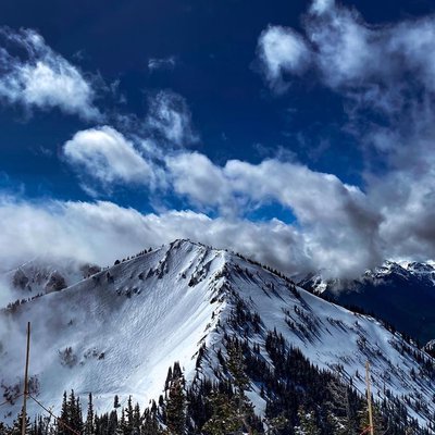 Silver Queen from the Summit 💙