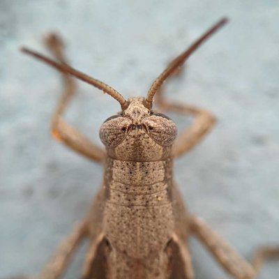 missed 😑