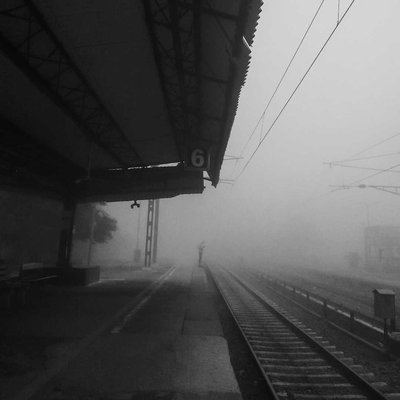waiting in foggy morning ❤️
