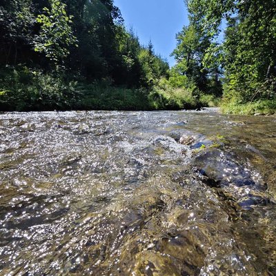 Water... River 🏞️ Amazing place 🩵