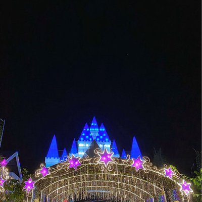 Nights of Lights at the Orchid Gardens