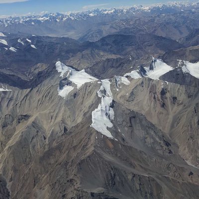 Himalayan Beauty 