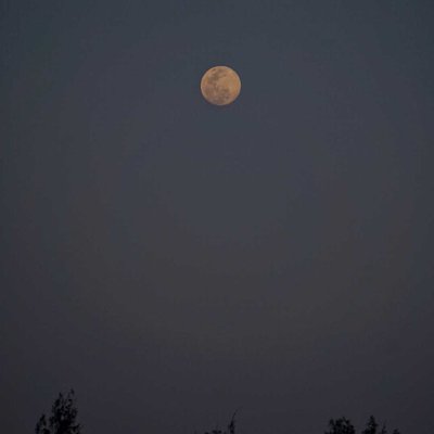 Moon Night 