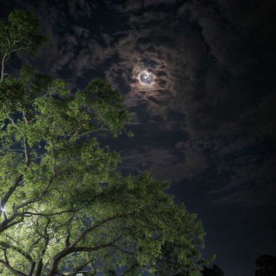 night moon and beauty 😍