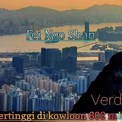 GO TO FEI NGO SHAN 