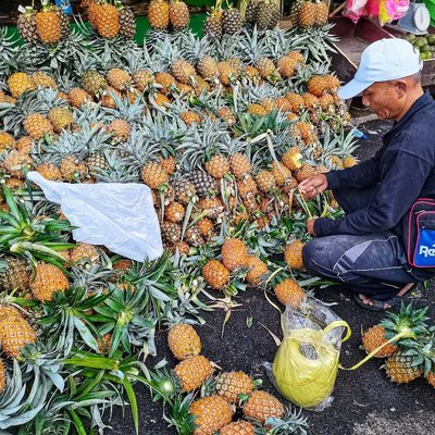 buah nanas