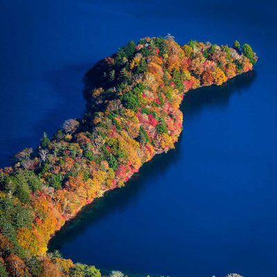 autumn colors