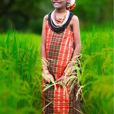 Halakki Culture
