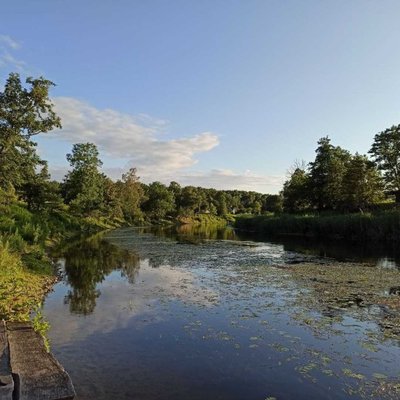 Pregolya river