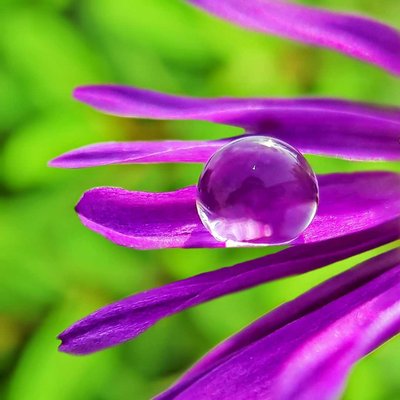 Purple 💜💜