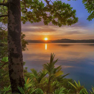 sunset