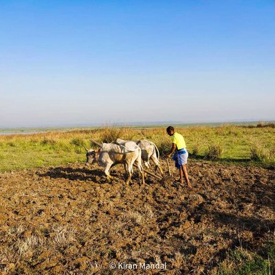 Farming 