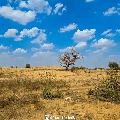 nature view from Rajasthan