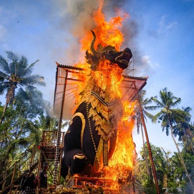 Lembu Kremasi Terbesar di Bali 