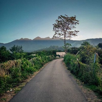 Jalan Menuju Bedengan Camping ground