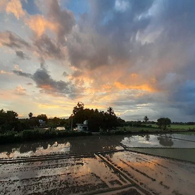 EVENING.....🌄