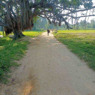 Village Road