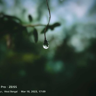 Beauty Of Rain