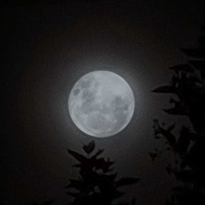चांद 🌙🌕