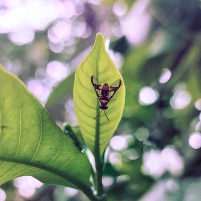 Joy of little things.. 💚💚