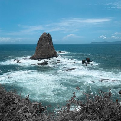 PAPUMA