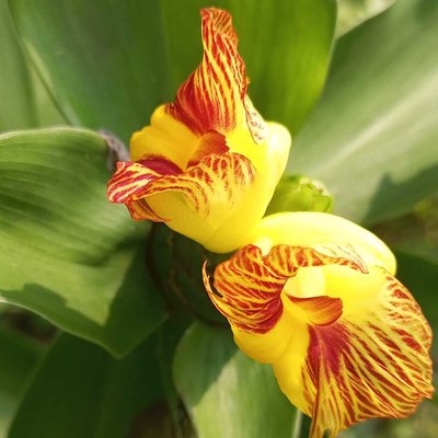 Nice colour combination 