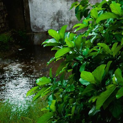 rainy days