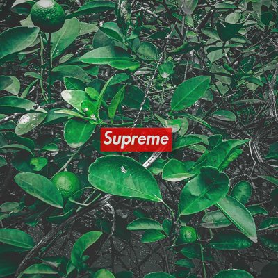 𝐒𝐔𝐏𝐑𝐄𝐌𝐄 ♥️