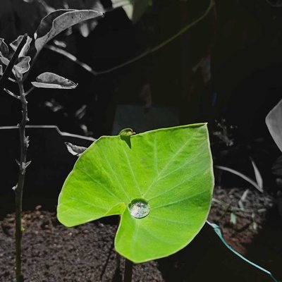 A drop of water 💧😌😚