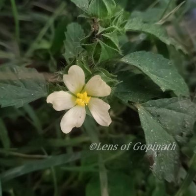 natural is beautiful