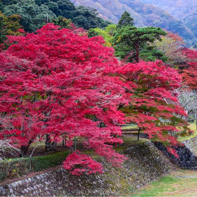 autumn