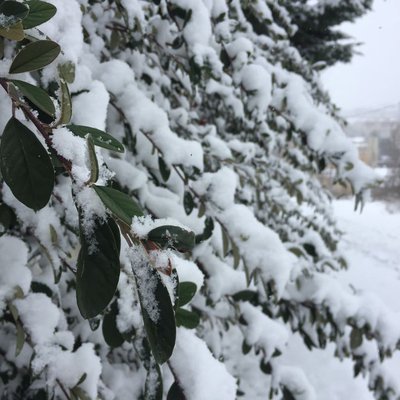 ❄️☃️