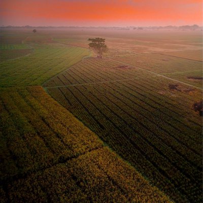 pemandangan sunrise
