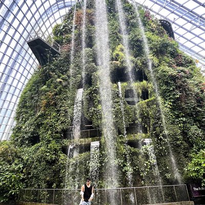 Cloud Forest @Singapore 