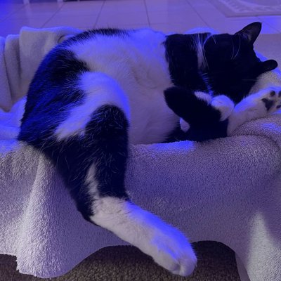 Long day after work