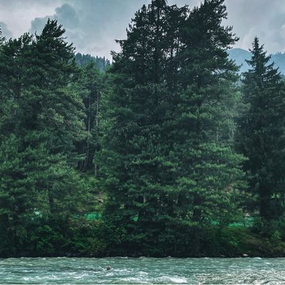 And into the forest I go,to lose mu mind and find my soul." 