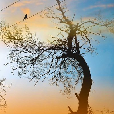 Never be afraid to stand alone... 🚶‍♀️