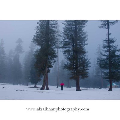 Winter Fog at Lolab Valley, Kashmir