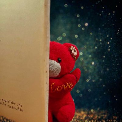 Teddy 🧸