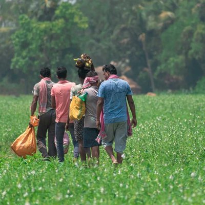 তালশাঁস অভিযান ❤️